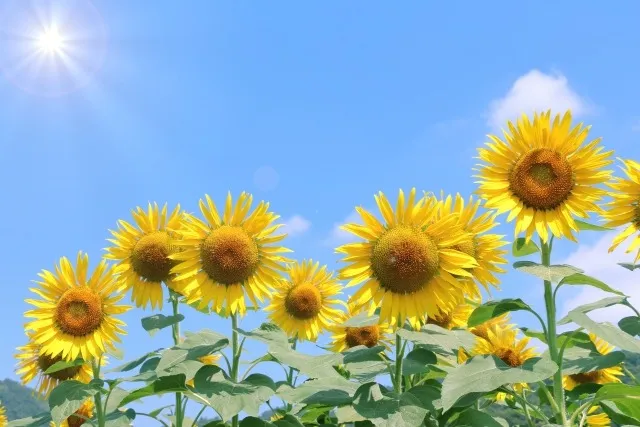 子供たちは夏休み到来！！